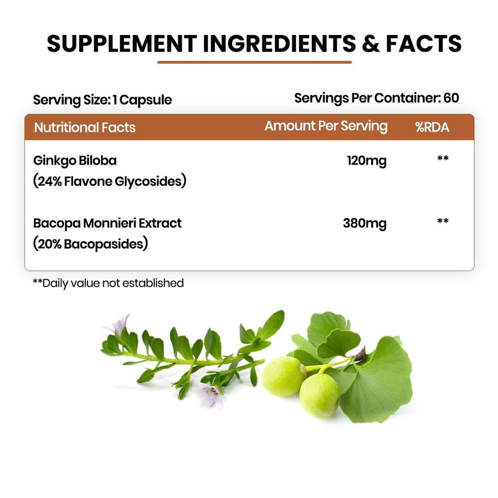 Vlado’s Himalayan Organics Ginkgo Biloba 500mg With Brahmi Capsules for Focus, Memory & Energy, 60 Veg Capsules