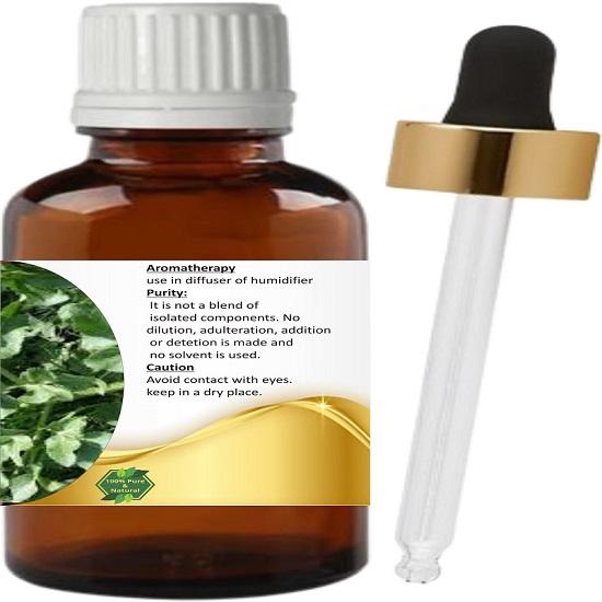 Levenmooi Opopanax (Opopanax chironium) Pure & Natural Therapeutic Grade Essential Oil Glass
