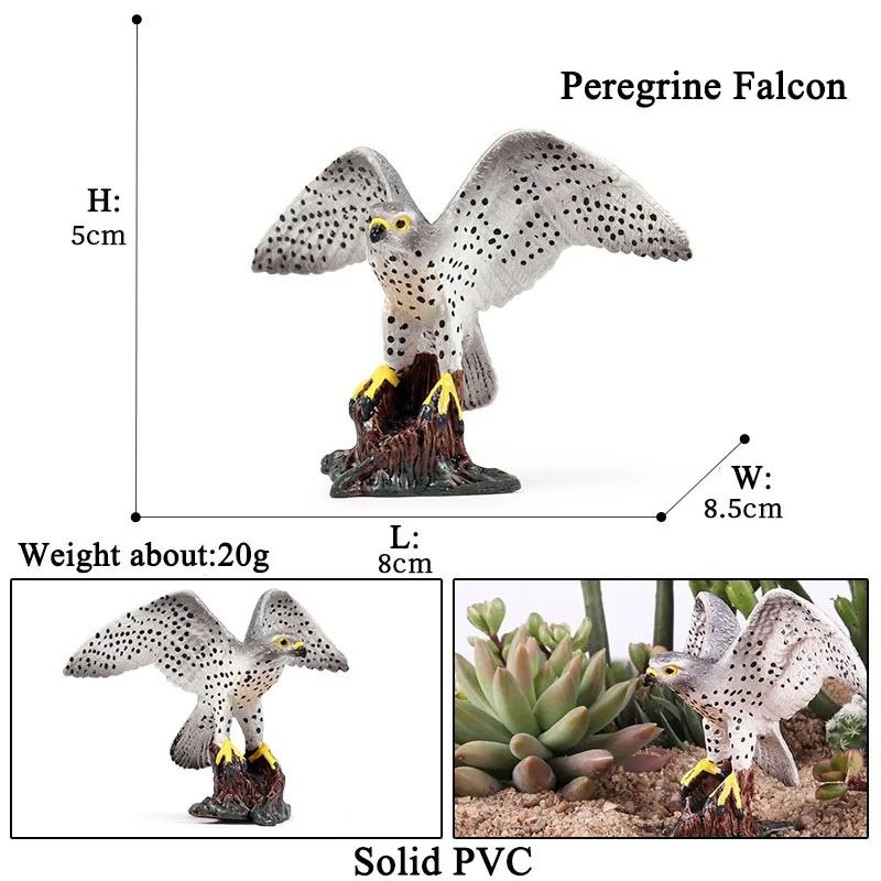 Oenux Wild Bird Animals Forest Night Eagle Condor Figurines PVC Action Figure Garden Decoration Education Miniature Toy Kid Gift