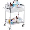Medical Cart, 2 Layers Stainless Steel Cart 220 lbs Weight Capacity, Lab Utility Cart with 360° Silent Wheels and a Drawer for Lab, Clinic, Kitchen,