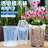 Orirya Flower Slit Potted with Orchid with Phalaenopsis Seedling Gardening 16cm Planter, Pot, Plastic, Pot, Transparent, Houseplant, Succulent, Plant,