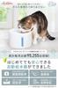 Plus Aqua Light Automatic Water Dispenser for Cats and Uchinoko Automatic Circulating Water Large Capacity Made In Japan Veterinarian-Supervised Dogs,