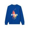 Polo Printed Pattern Crewneck Sweatshirt Men Sweatshirt MNPOKNI16821864-401