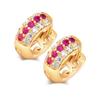 Elegant Stylish Pierced Fashion Gold Plated Gift Gems Jewelry Hoop Earrings for Women Earrings