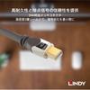 LINDY CROMO LINE DisplayPort Cable 0.5m 1.3 (Part Number 36305)