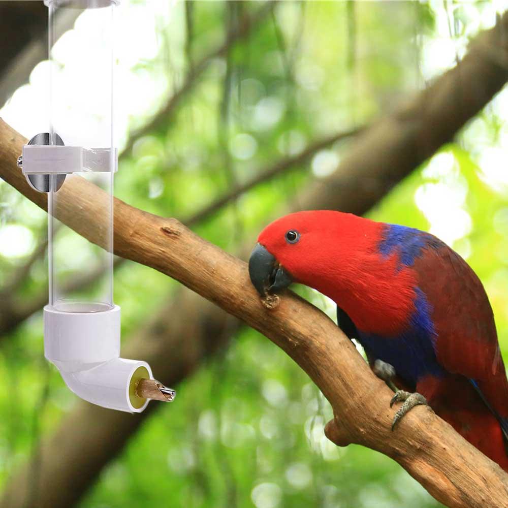 

Transparent Automatic Bird Water Feeder 130ML Parrot Water Dispenser Conures прозорий