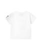 PHYPS MOTORCYCLE Womens Vintage Ride Washed Crop Tee White