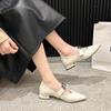 Fashion Women's Low Heel Shoes Spring New Pointed Head Shallow Mouth Metal Buckle Soft Sole Non-slip Low Top Shoes