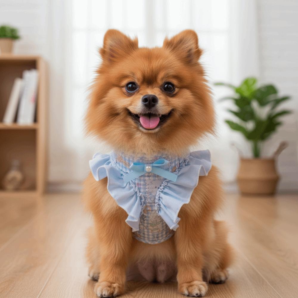 Verstellbares Hundegeschirr und Leine Ausbruchsicheres Katzen-Geschirr Weste für Outdoor-Aktivitäten