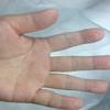 Garden Mesh Netting Barrier, Big Size Ultra Fine Plant Net For Vegetable Blueberry Bushes Live Tree Row Cover Screen Protection