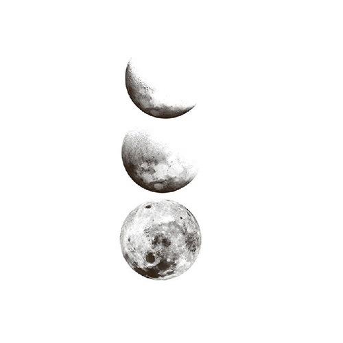 Small Fresh Tattoo Sticker Cute Swallow Fairy Fox Rose Sexy Waterproof Tattoo Sticker Female Suit Sticker