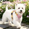 Fashionable Dog Apparel No Pull Harness with 5Ft Leash, Cute Colorful Wings Harness, Adjustable Wing Design Reflective Vest Handle for Walking