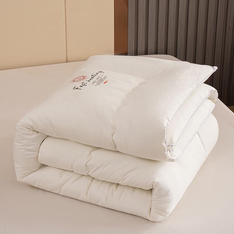 PAUI DAVID All-Season Antibacterial Duvet Insert