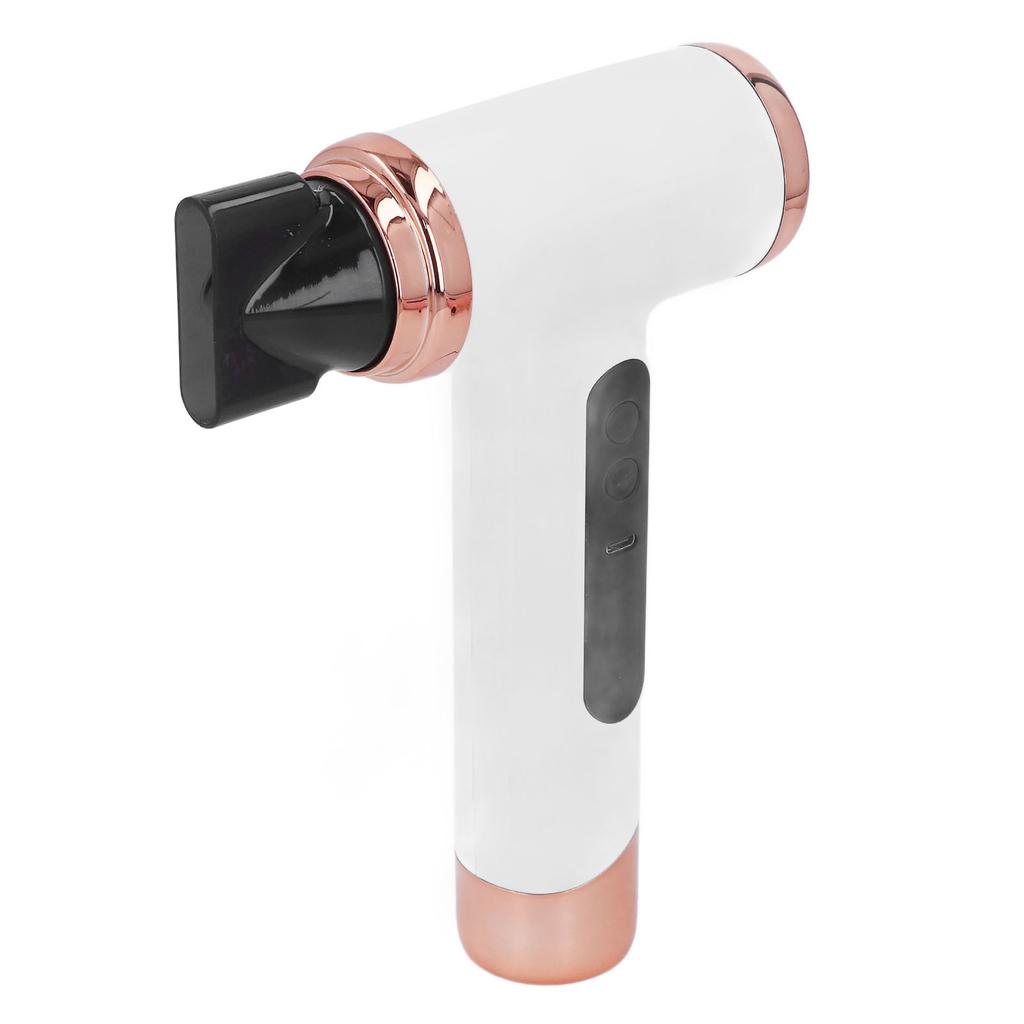 Hair Blow Dryer Wet and Dry Use 200W Powerful Hair Dryer Portable Multifunctional Pet Blow Dryer for Travel