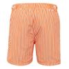 Regatta Mens Loras Stripe Swim Shorts