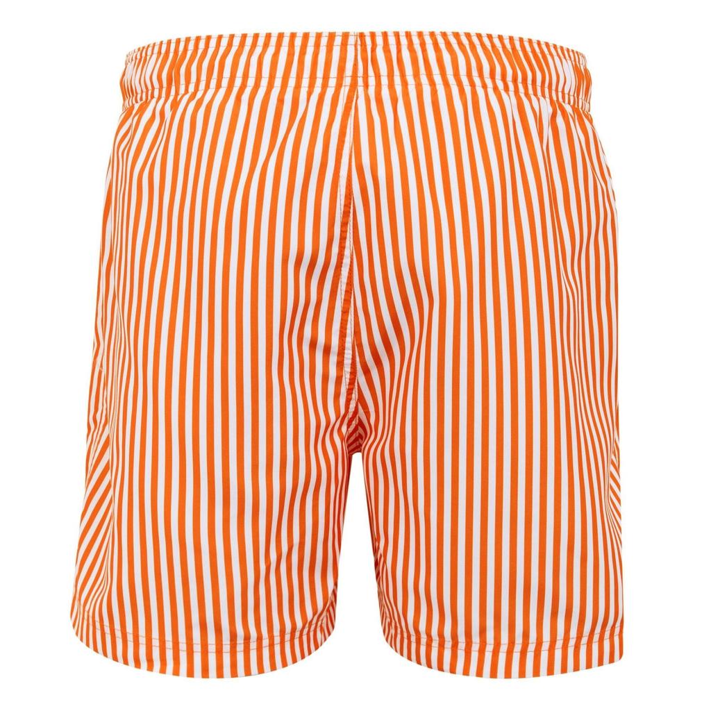 Regatta Mens Loras Stripe Swim Shorts
