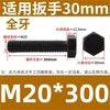 m20x300mm full thread (10 pcs)