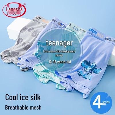 Erkek Çocuklar ( 4 Yaş Üzeri) – Erkek çocuk iç giyim