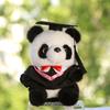 Dr. Panda doll graduation bear kindergarten gift doll Dr. Bear plush toy