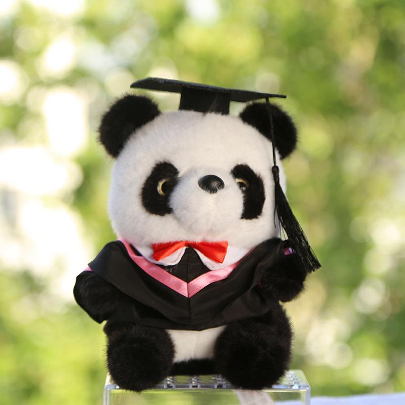 Dr. Panda doll graduation bear kindergarten gift doll Dr. Bear plush toy