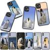 For Samsung Galaxy S25 S24 S22 S23 FE Ultra Plus A56 A05 A06 A15 A16 A55 S7 Edge Phone Case Penguin White Bear Spheniscidae