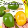 Lovely Fluid Color - Changing Mango Squishy Toy, Slow Rebound Crispy Squeeze Toy, Fidget Toy for Stress Relief at Office & Study