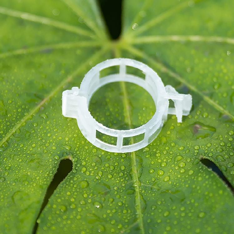 100pcs Functional Garden Plant Support Clips Practical Garden Clips For Securing Tomato Stem And Vegetable Plant