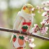 Parrot Diaper Flight Clothes Fly Training Nappy Suit for Macaws Bird Supplies