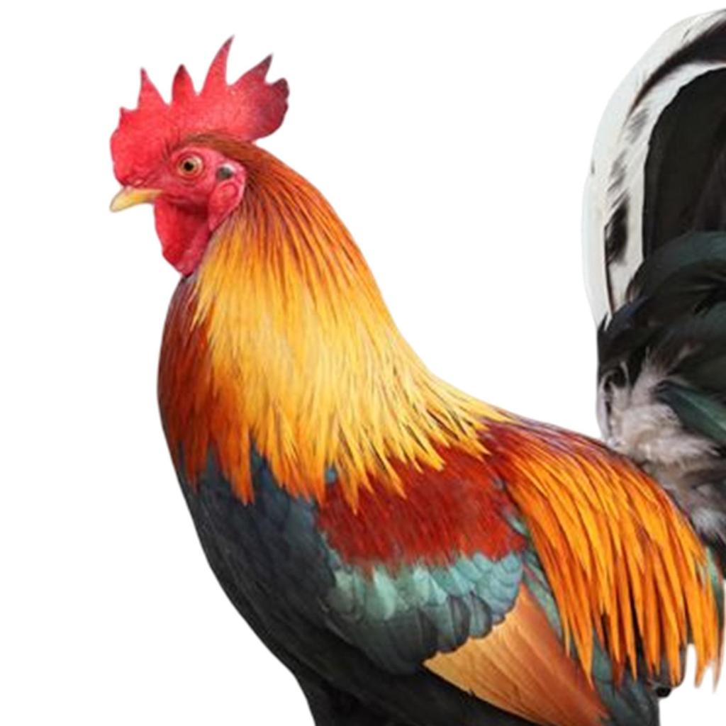Rooster Garden Decor - Whimsical Outdoor Statue
