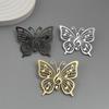 Stainless Steel Butterfly Music Brooch & Cufflinks Set