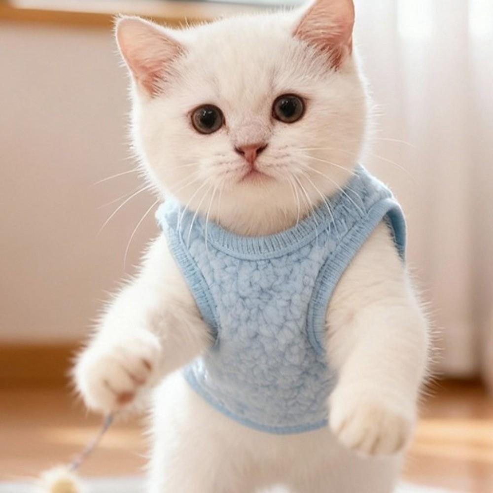 Cartoon Cat Sleeveless Vest Thickened Dog Fleece Coat Fashion Winter Dog Costume  Winter Season