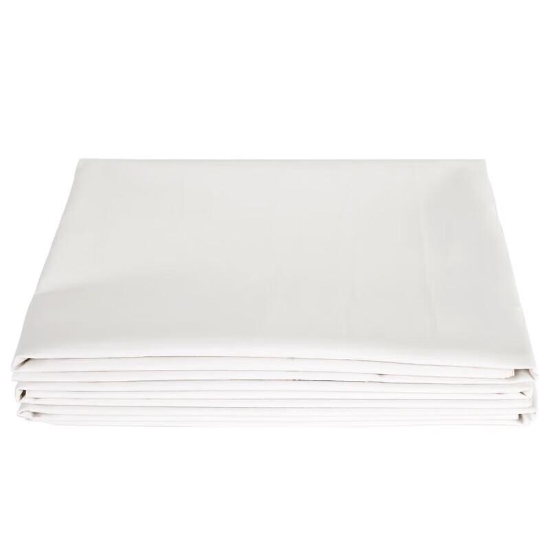 Starry Sky Tiger Single Bed Sheet