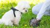 XA124B PORTABLE DOG BOTTLE WITH BOWL with CLIP Pet water bottle