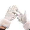 Warm Touchscreen Plush Gloves Faux Fur Trim Cycling Windproof Gloves  Women