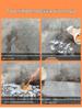 Stone Degreaser: Powerful Marble, Rust, Stain & Yellowing Remover for Kitchens & Restaurants.