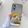 Animal Guinea Pig For Realme C67 C61 C75 C55 C53 C51 C21Y C25S GT 6 6T 5 GT7 Pro 10 11 12 13 14 Pro Plus Case