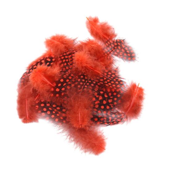 

50Pcs Guineahen Feathers Natural Chicken Tail Feathers Bright Colors 4.5-10cm Feathers for Crafts DIY Earrings Dream Catcher Wedding Easter