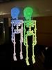 Poseable Skeleton Fridge Magnet 3D Printed Skeleton Fridge Magnets Skull Fridge Magnets for Kitchen Office and Locker Decor