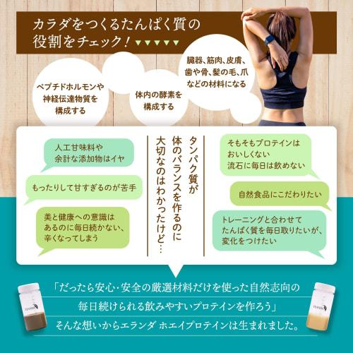 Elanda Unsweetened Milk Tea Flavored Protein Powder, Individually Wrapped (20g), 10 Bags, No Artificial Sweeteners, No Stevia, No Flavoring, Easy To D