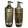 Schwarzkopf Ginger Essence Oil Control Anti-Dandruff Hair Care Set