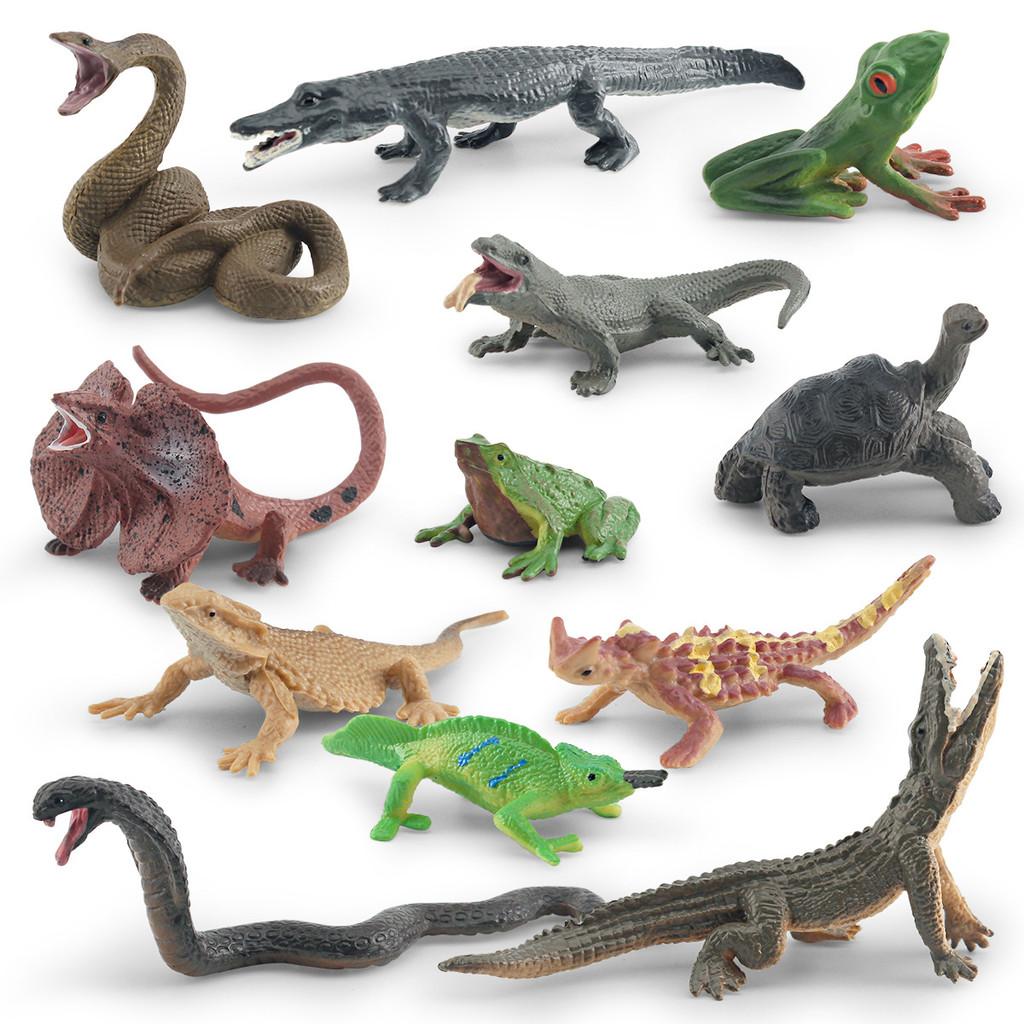 Realistic Pvc Amphibian And Reptile Model Pack For Display And Educational Use
