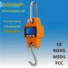 Portable 300KG Electronic Crane Scale with Hook - Handheld, Small, and Durable