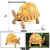 Cross-Border Children's Cognitive Amphibian & Reptile Tortoise Model Fish Tank Ornament Toy