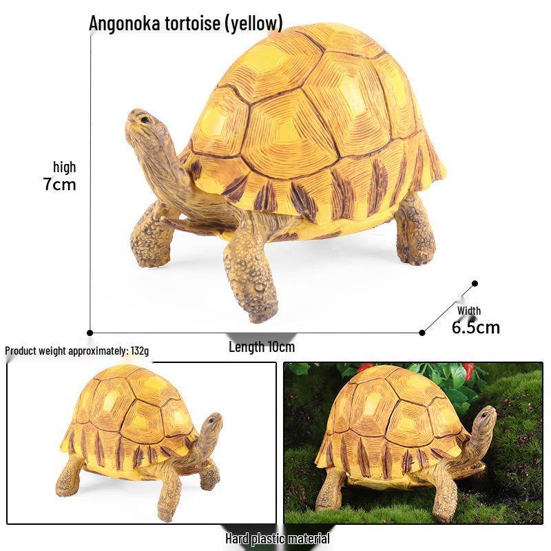 Cross-Border Children's Cognitive Amphibian & Reptile Tortoise Model Fish Tank Ornament Toy