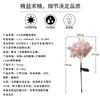 Bairuichen Solar Rime Garden Stake Light