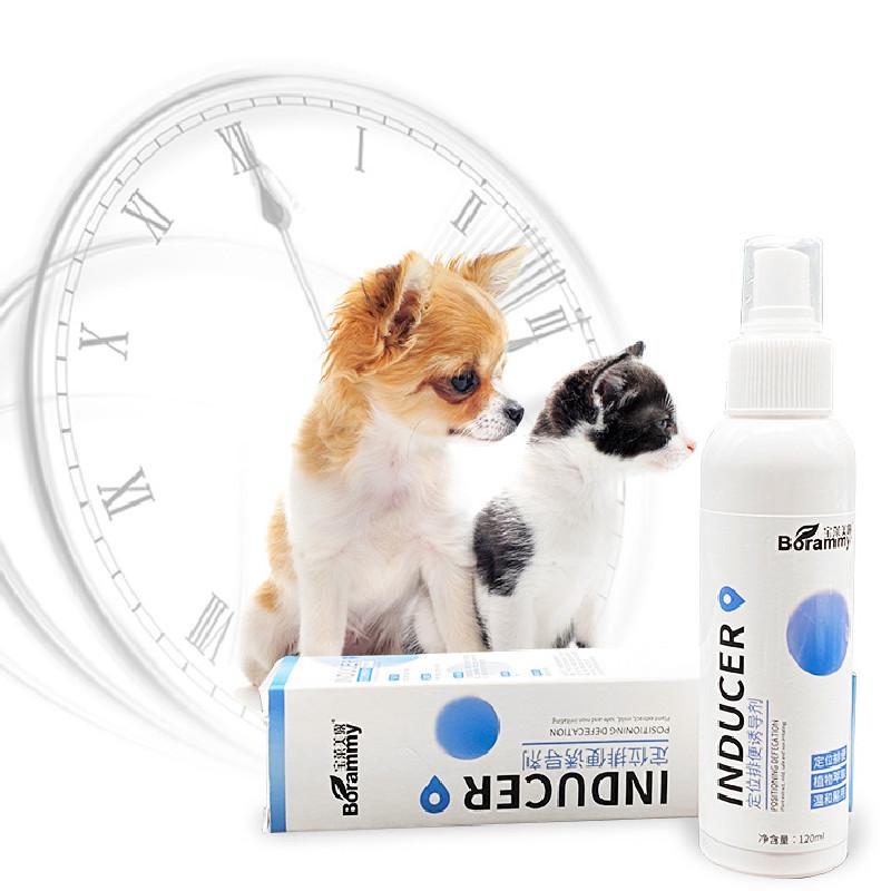 Effektives Stubenreinheitsspray für Hunde zur Standortführung für Urin und Kot