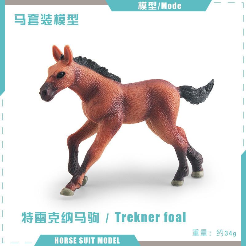 Realistic Pvc Belgian Foal Model Toy Beautifully Crafted Purebred Horse Figurine