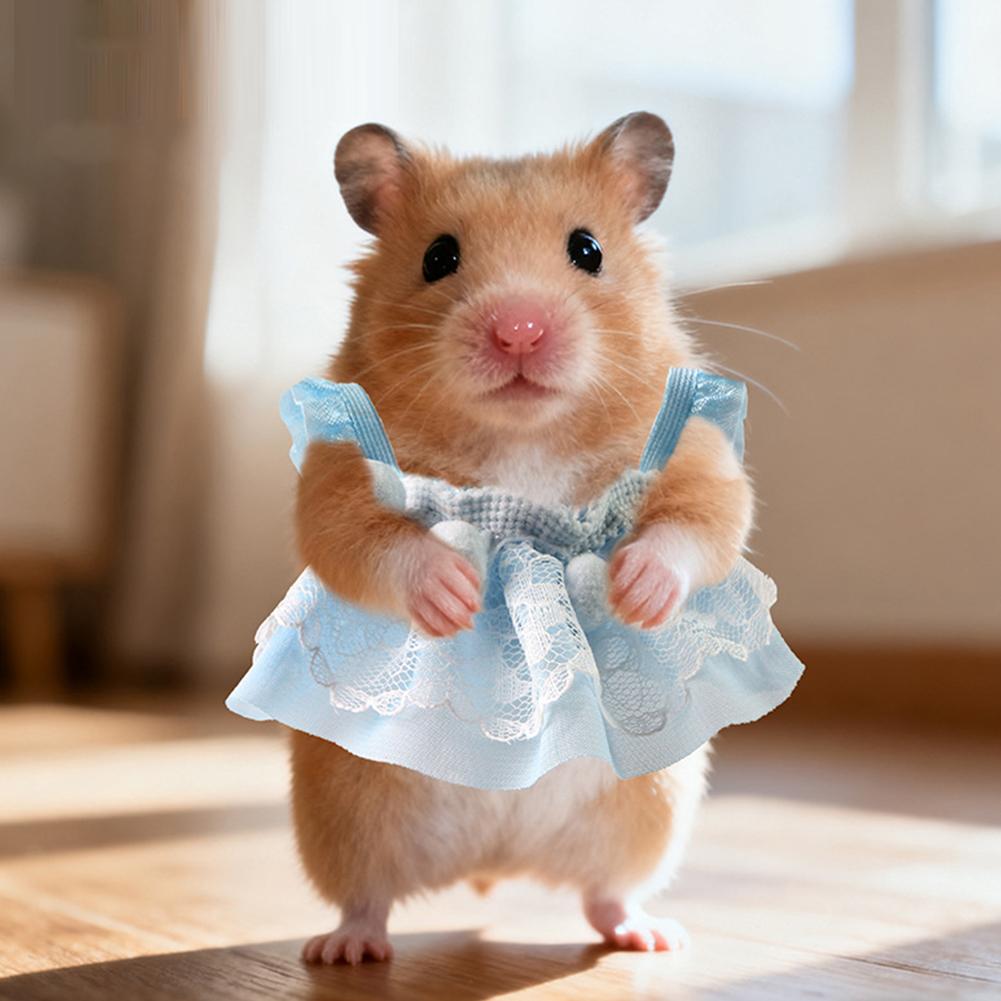 All Seasons Little Pet Golden Hamster Clothes Mini Woolen Knitted Skirt Mouse Costume Small Pet Vest Photography Clothing
