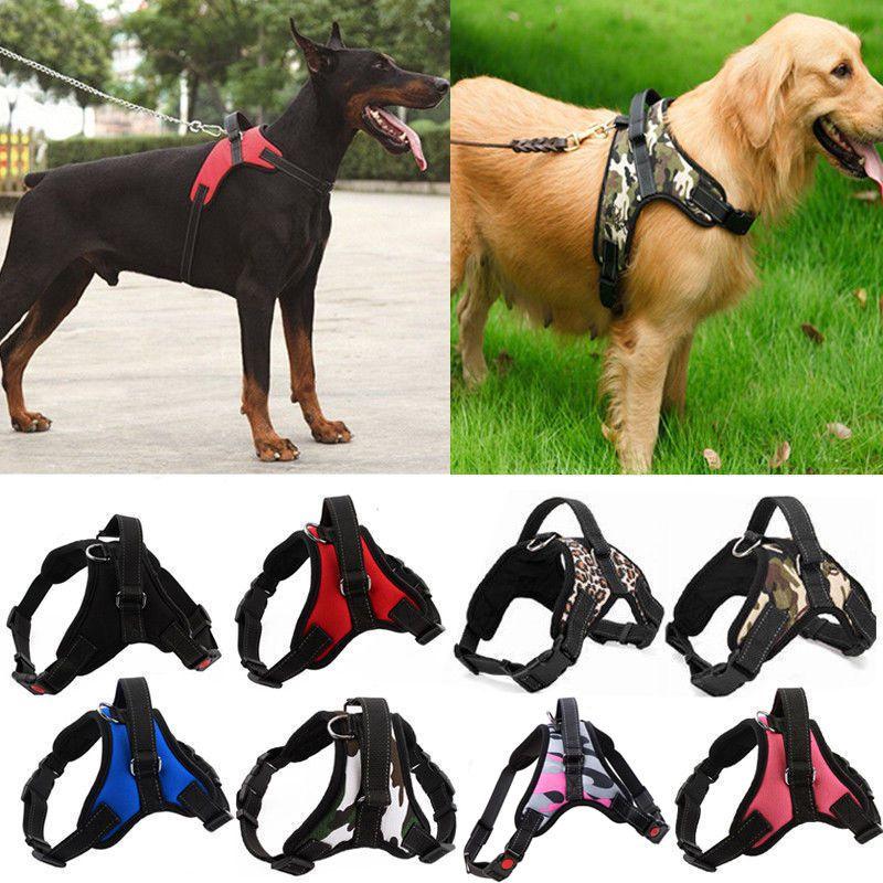 Premium No Pull Adjustable Harness Leash Dog Vest With Durable Lightweight Design For All Breeds