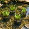 7 Inch Aquatic Plant Bags PVC Lily Plant Pots Durable Pond Plant Baskets  Terrestrial Plant